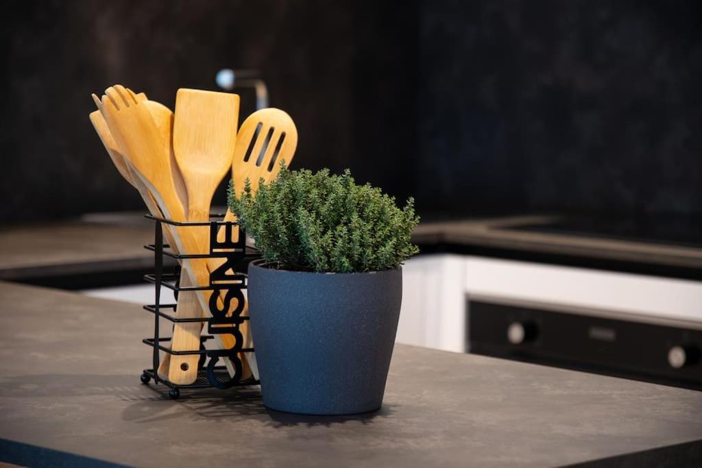 Appartement Sonnlicht ファルツェス エクステリア 写真